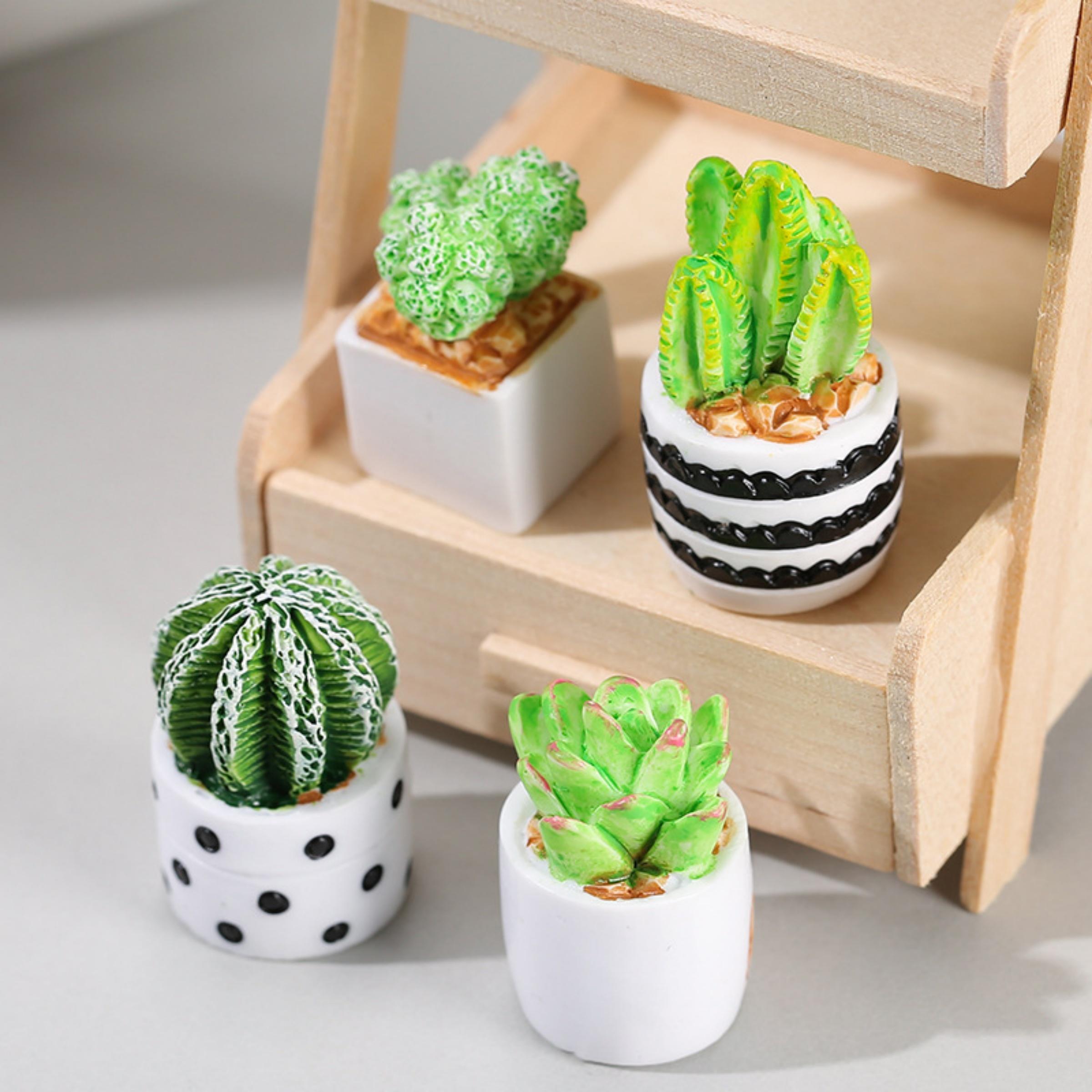 Succulent Set - 4-teiliges Set aus Kaktus-Sukkulenten-Pflanzen im Topf,