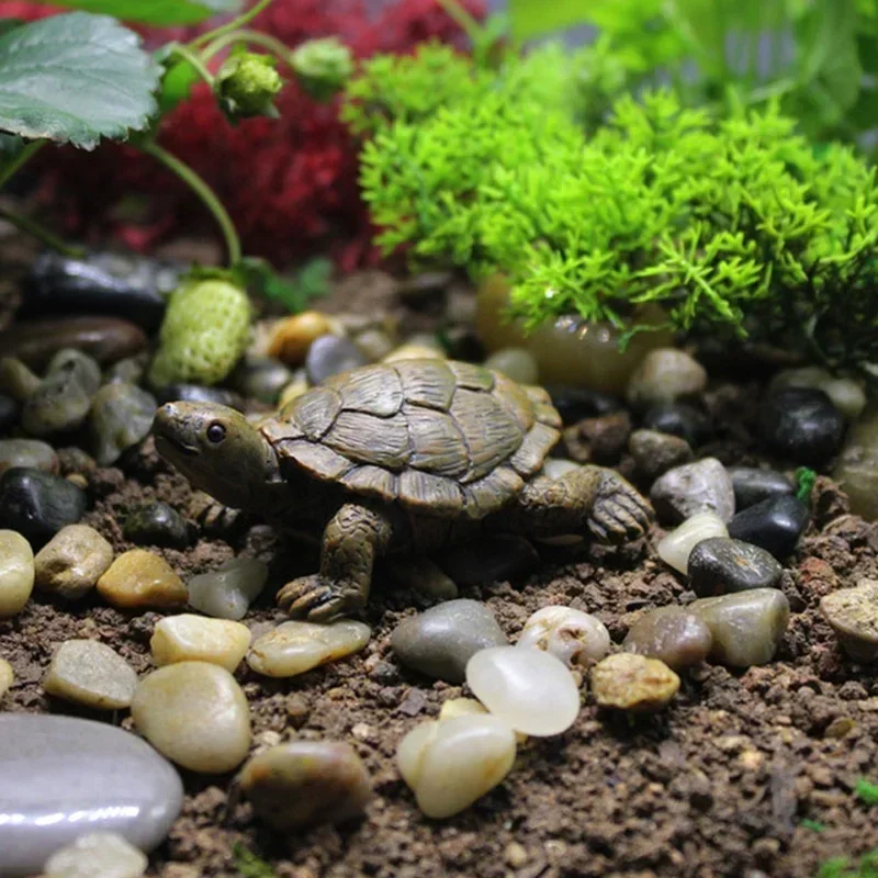 Harz Simulation Kleine Schildk – Succulent Set Bewertung und Preis