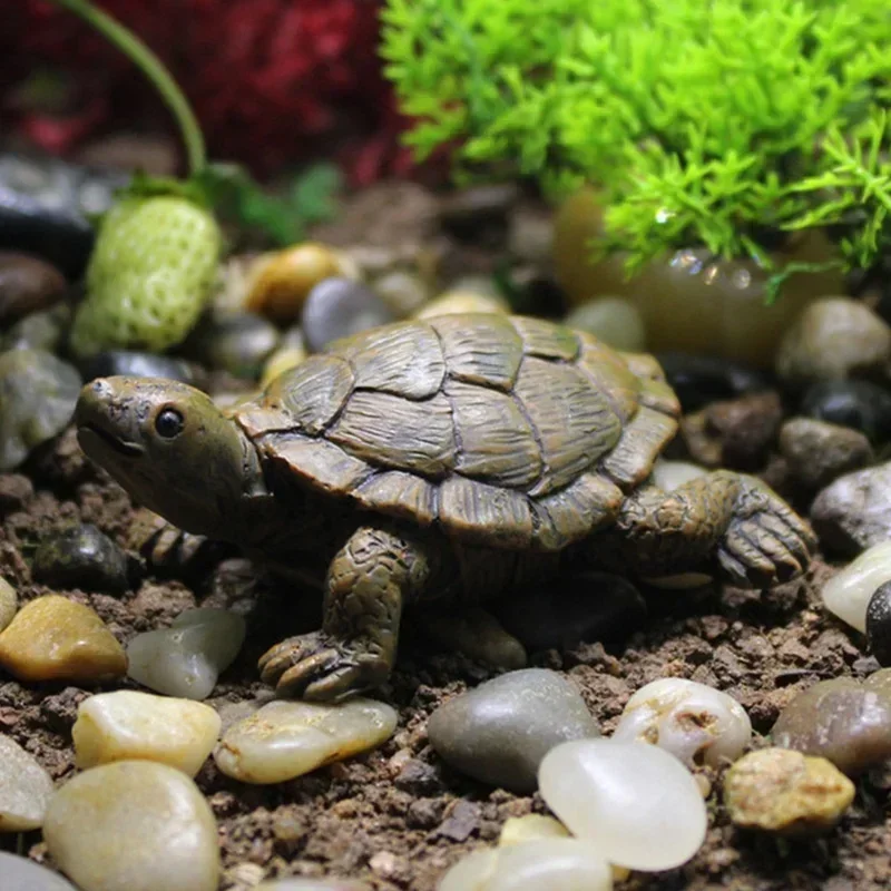 Harz Simulation Kleine Schildk – Succulent Set Bewertung und Preis