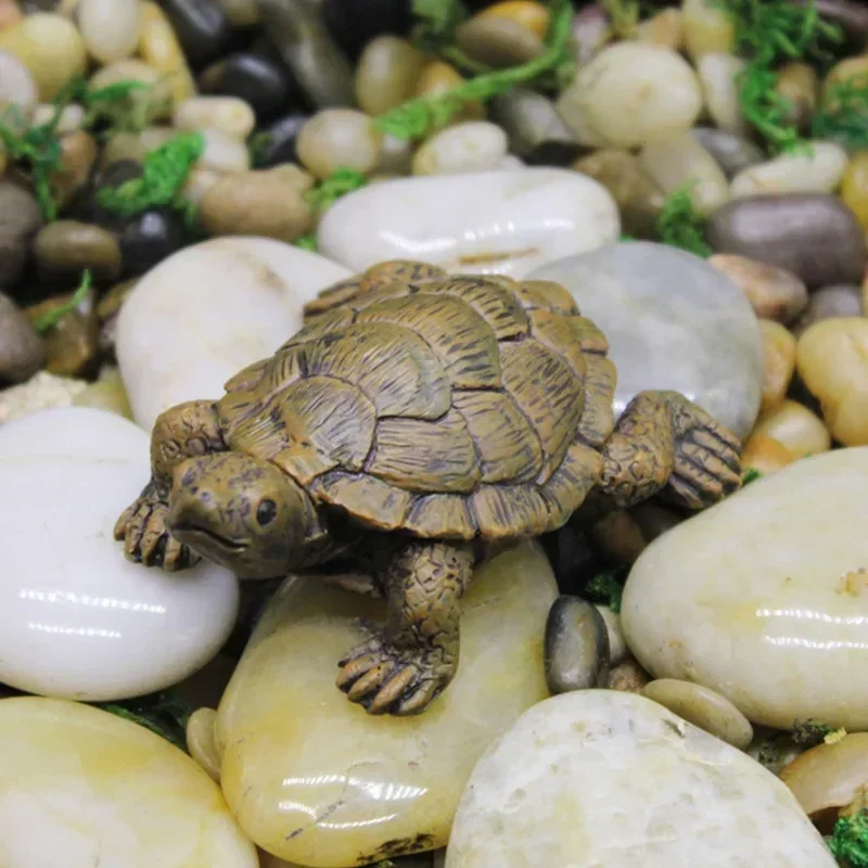 Harz Simulation Kleine Schildk – Succulent Set Bewertung und Preis