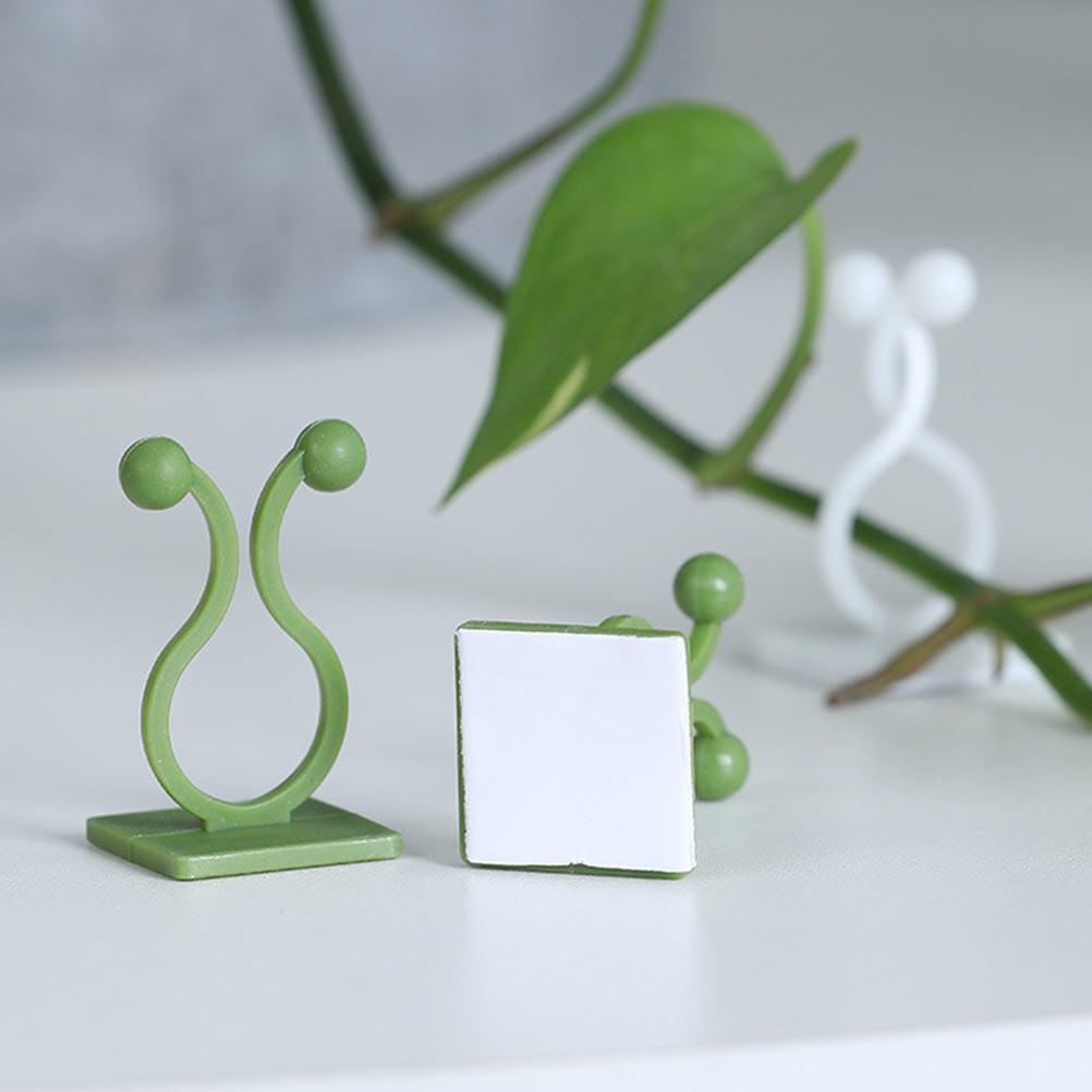 80 Stück Pflanzen-Kletterhaken – Pothos Bewertung und Preis