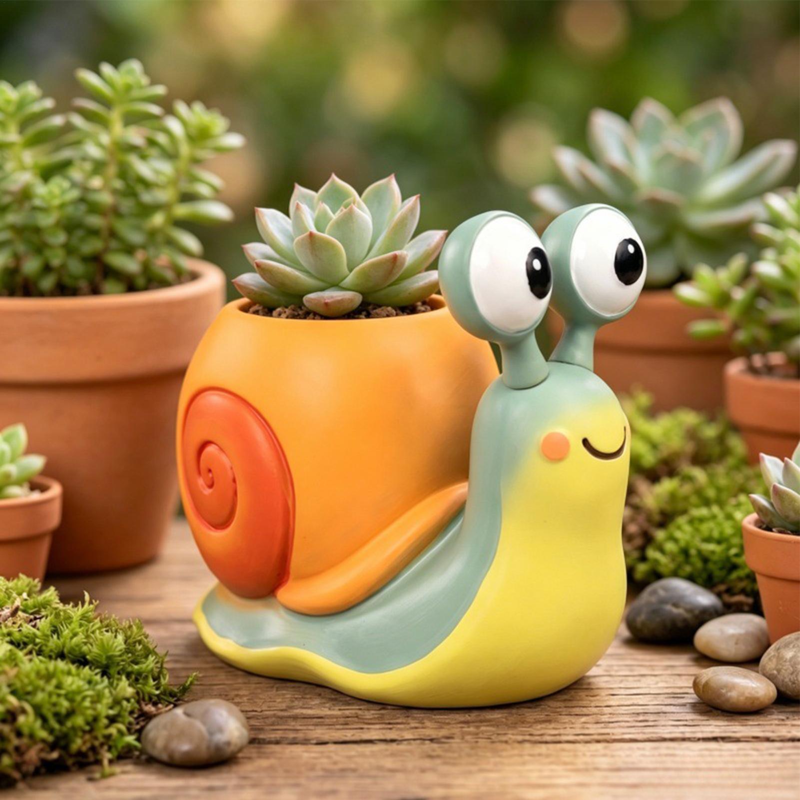 Schneckenförmiger Blumentopf,  – Succulent Set Bewertung und Preis