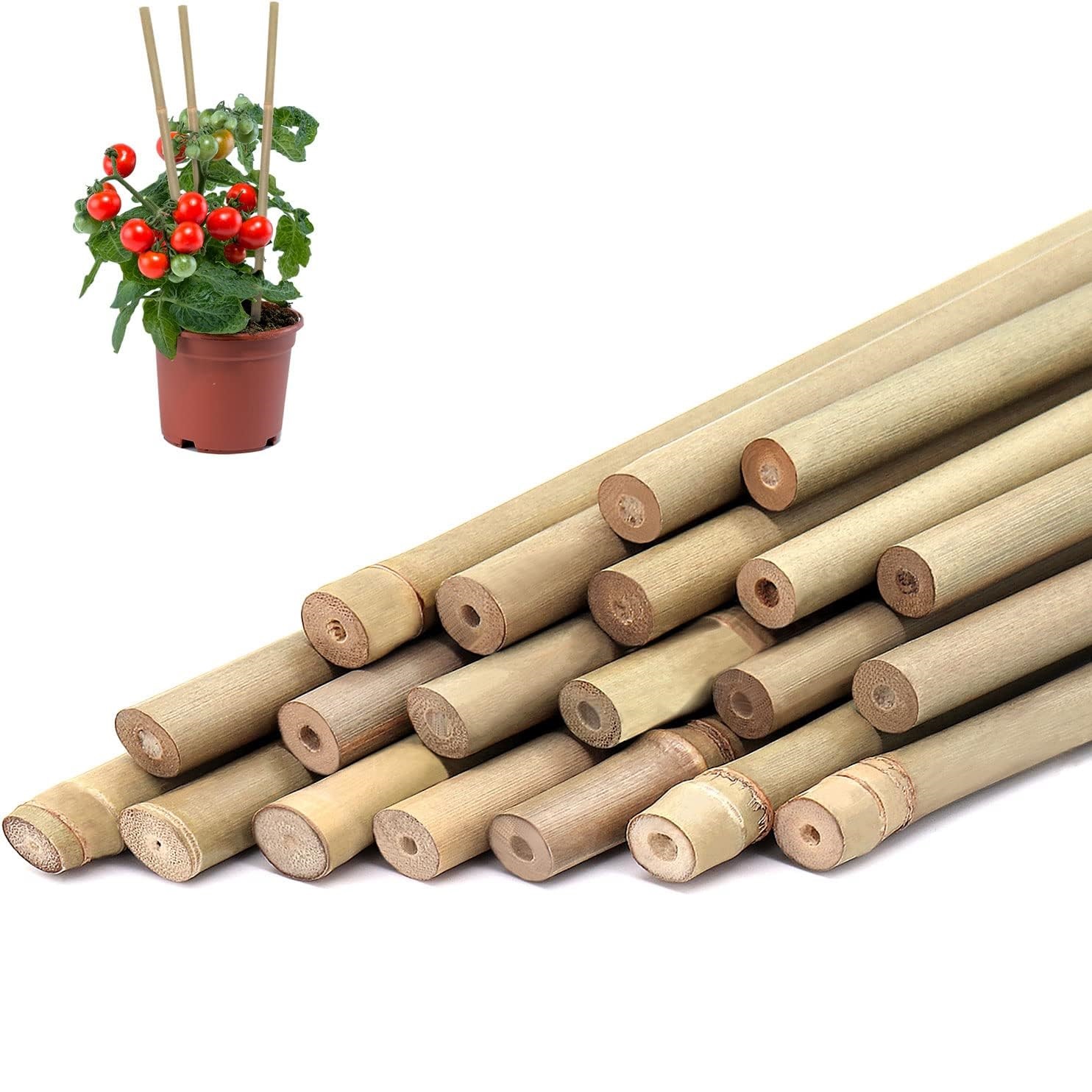 10 Stück, Bambus-Pflanzensteck – Plant Support Stake Bewertung und Preis