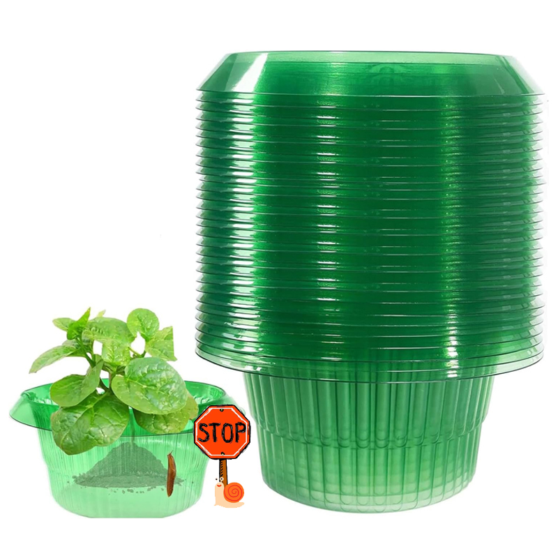 5-25Pcs Pflanzen Slug Schutz R – Terracotta Pot Bewertung und Preis
