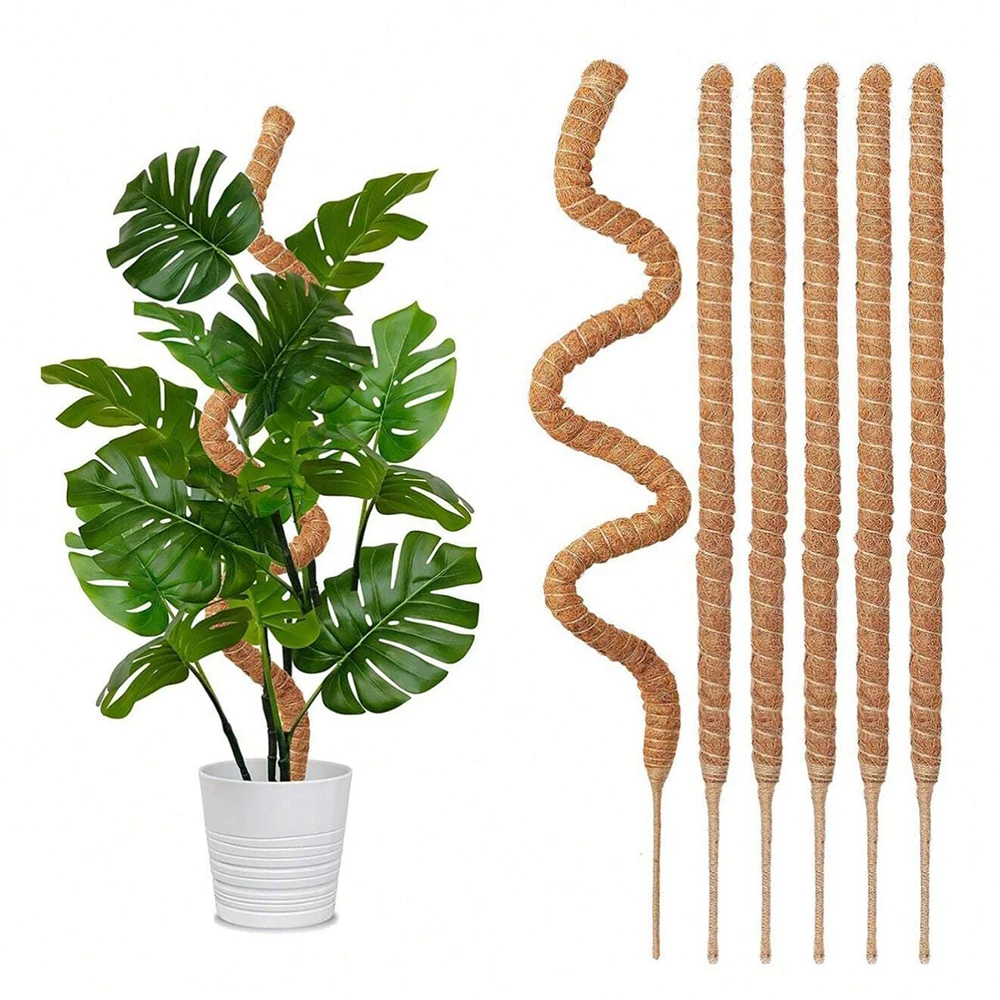 Monstera-Pflanzenstützstäbe au – Plant Support Stake Bewertung und Preis