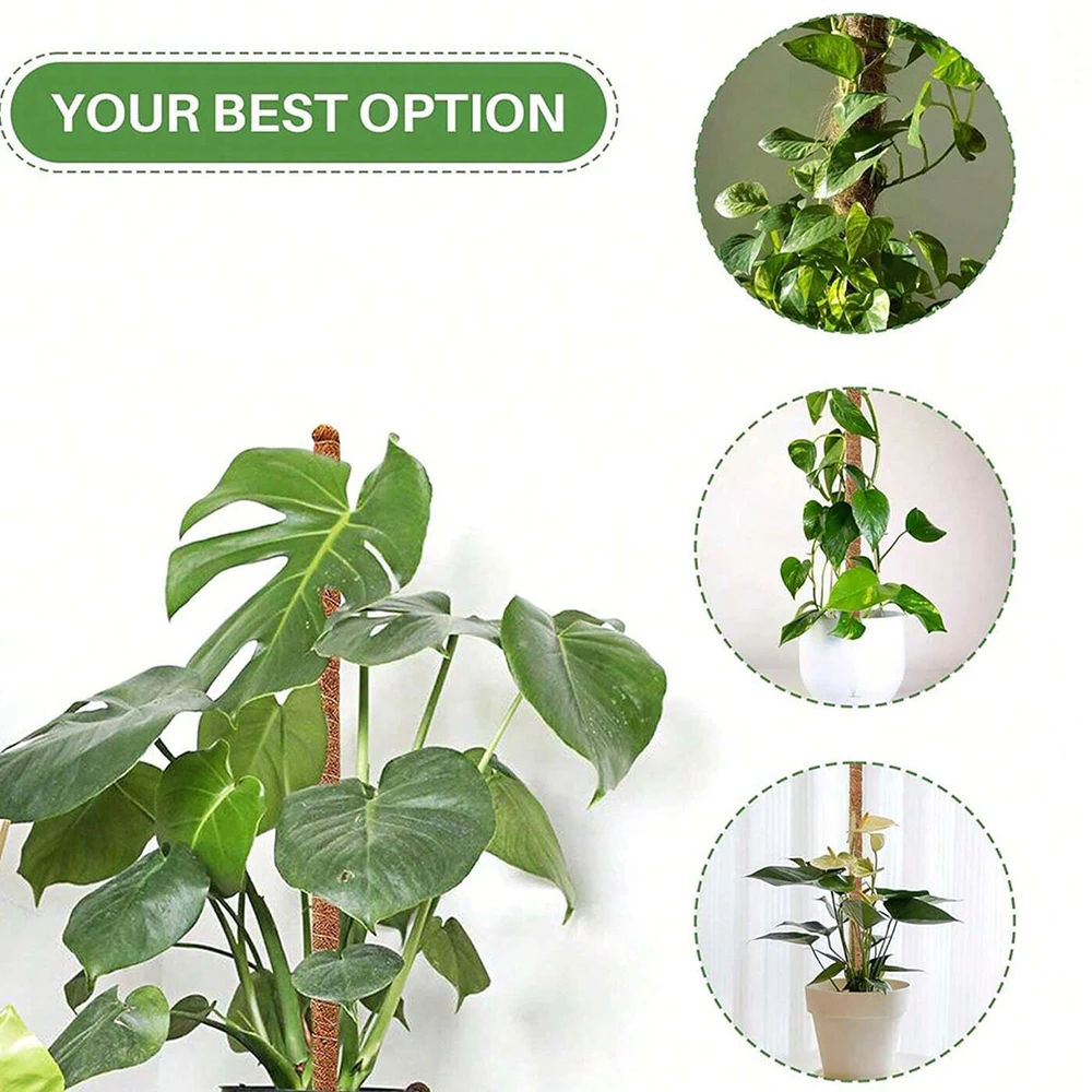 Monstera-Pflanzenstützstäbe au – Plant Support Stake Bewertung und Preis