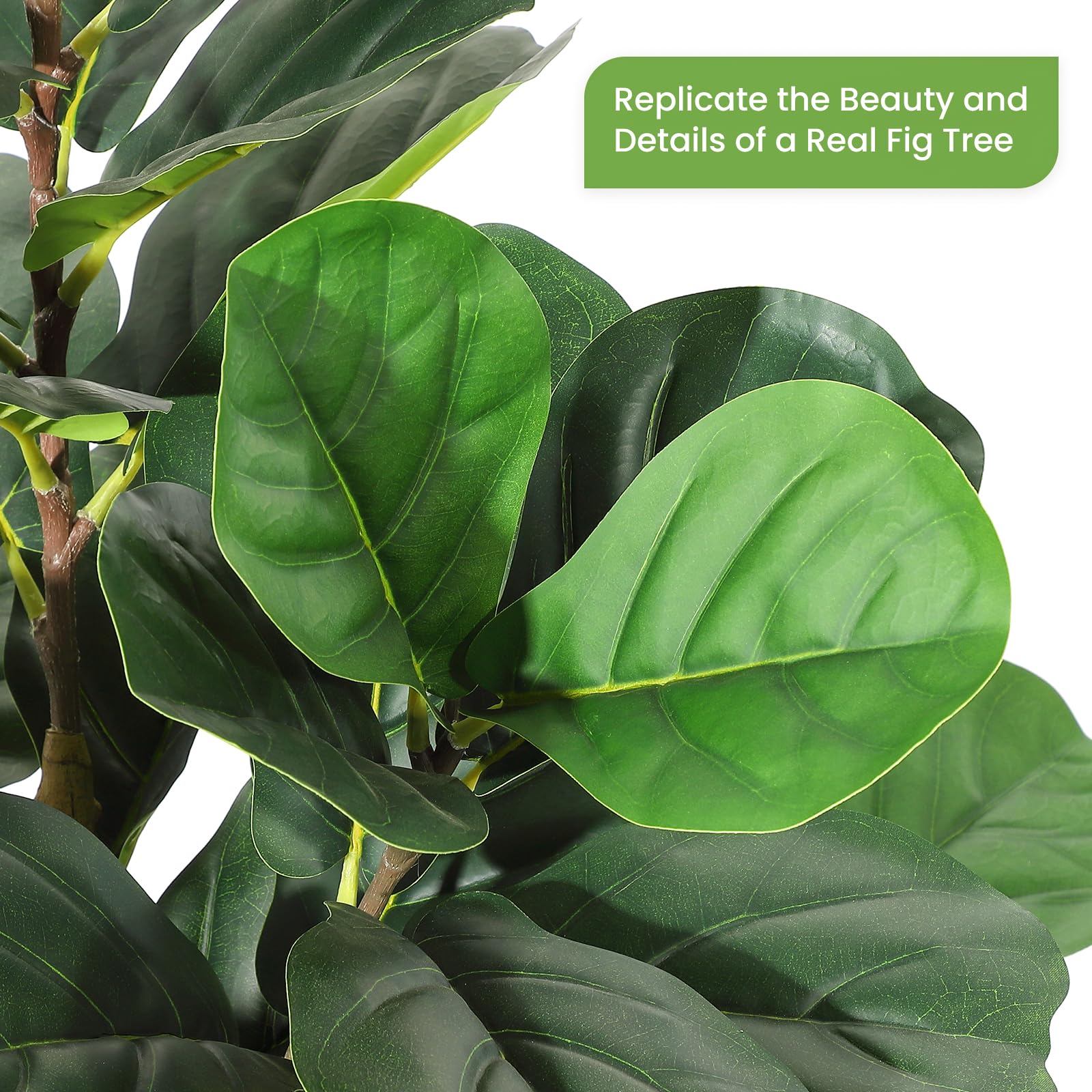 Künstlicher Fiddle-Leaf-Fig-Ba – Fiddle Leaf Fig Bewertung und Preis