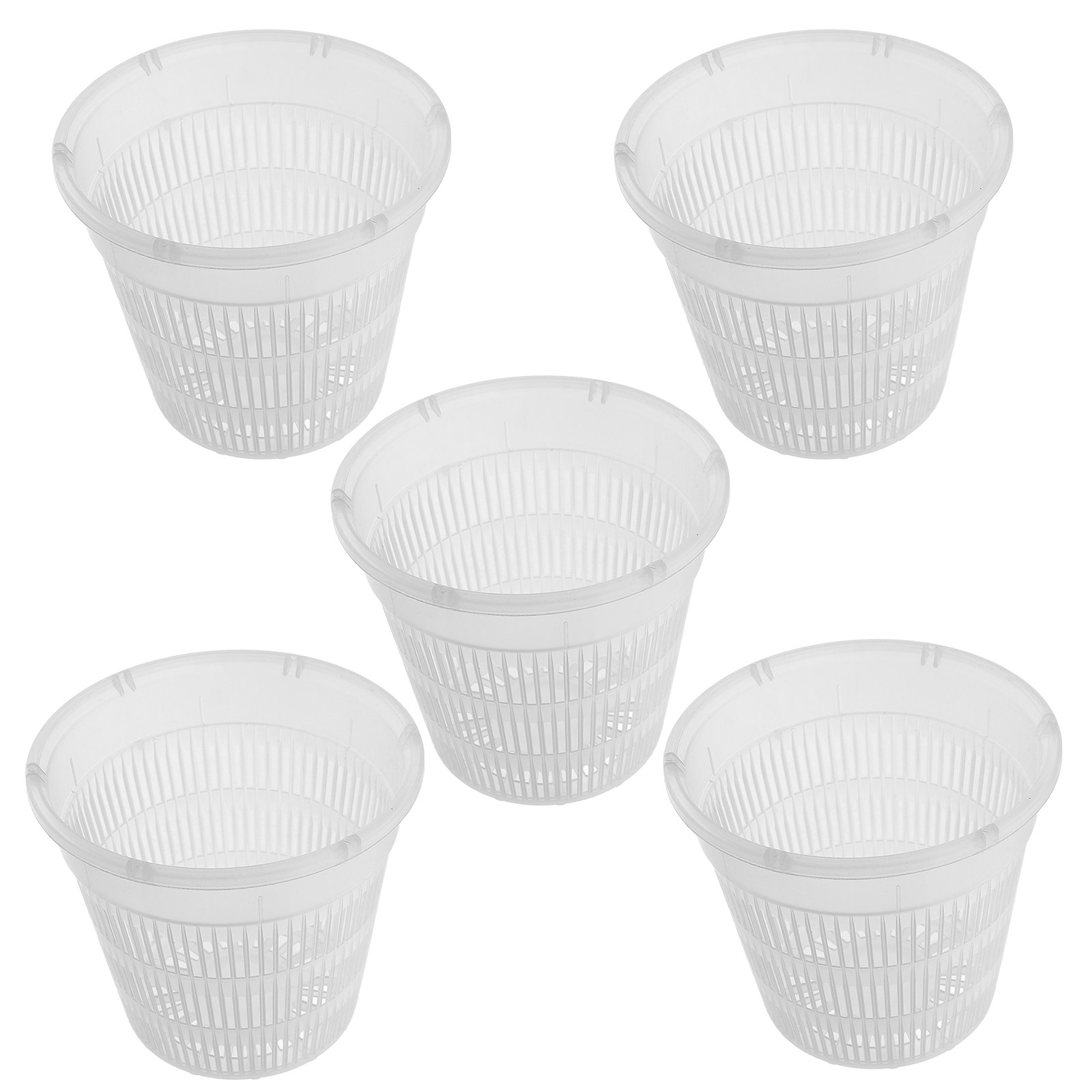 5 Stück Hydroponische Pflanzne – Indoor Plants Bewertung und Preis