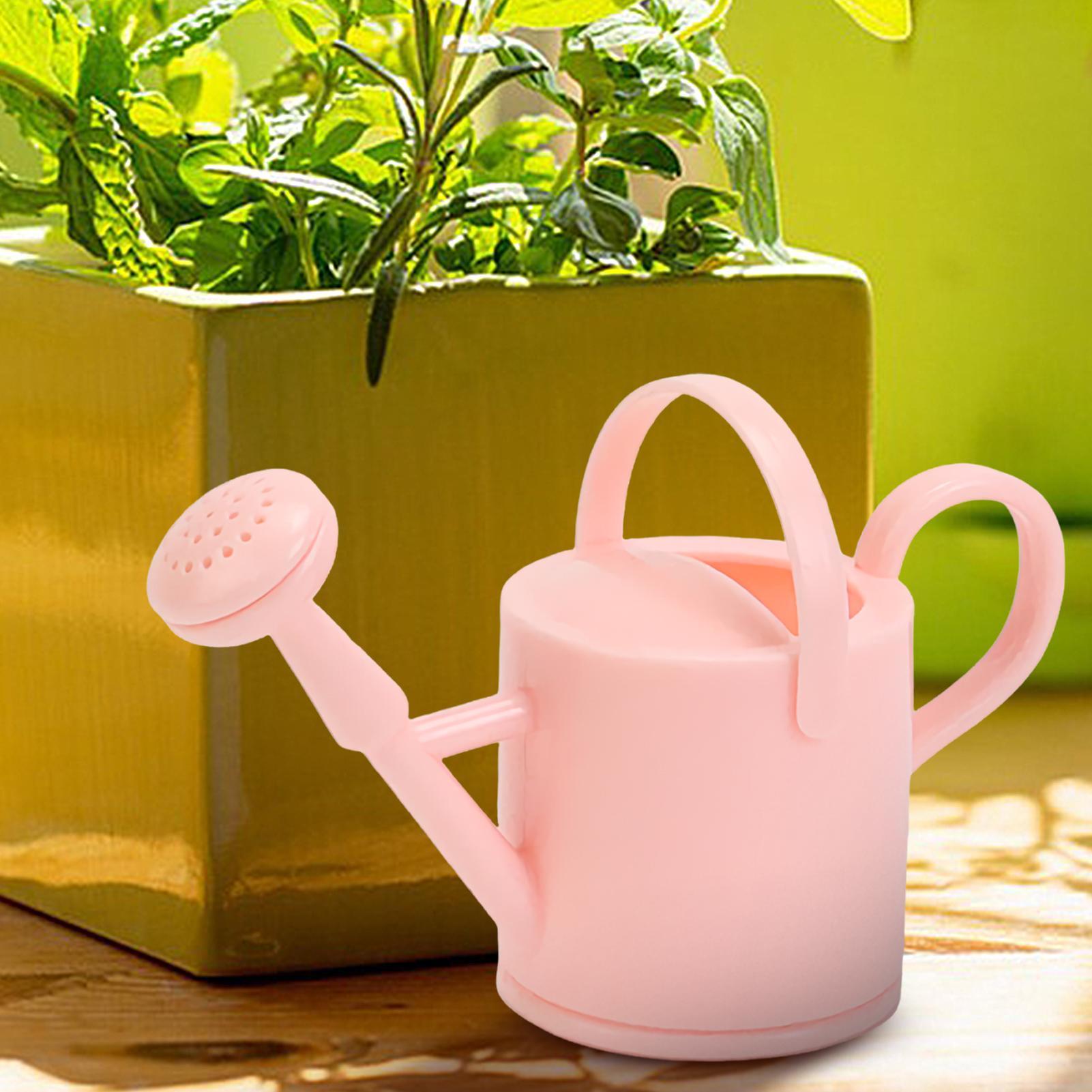 Kleine Gießkanne für Kinder, f – Succulent Set Bewertung und Preis
