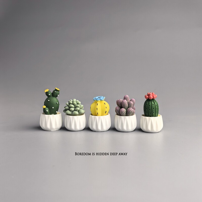 Topfkaktus Sukkulente Mini-Arb – Succulent Set Bewertung und Preis