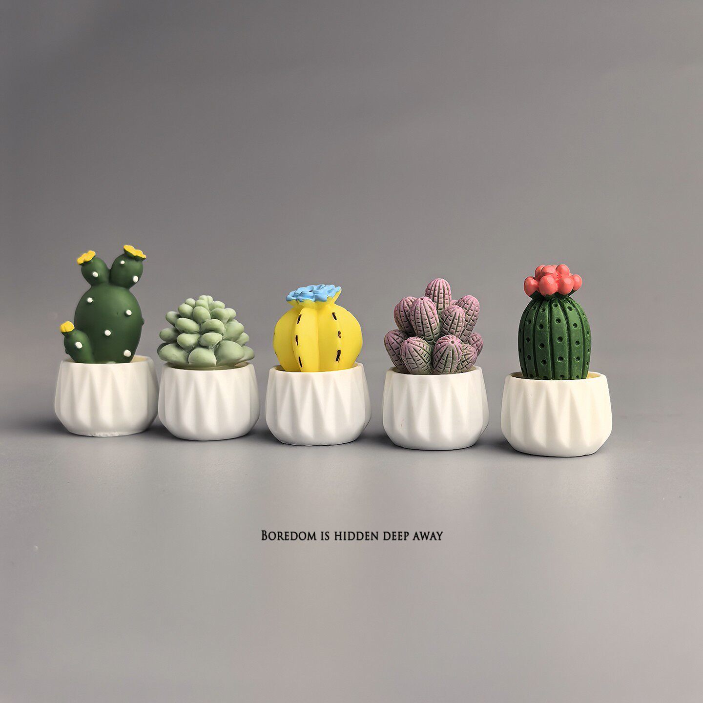 Topfkaktus Sukkulente Mini-Arb – Succulent Set Bewertung und Preis