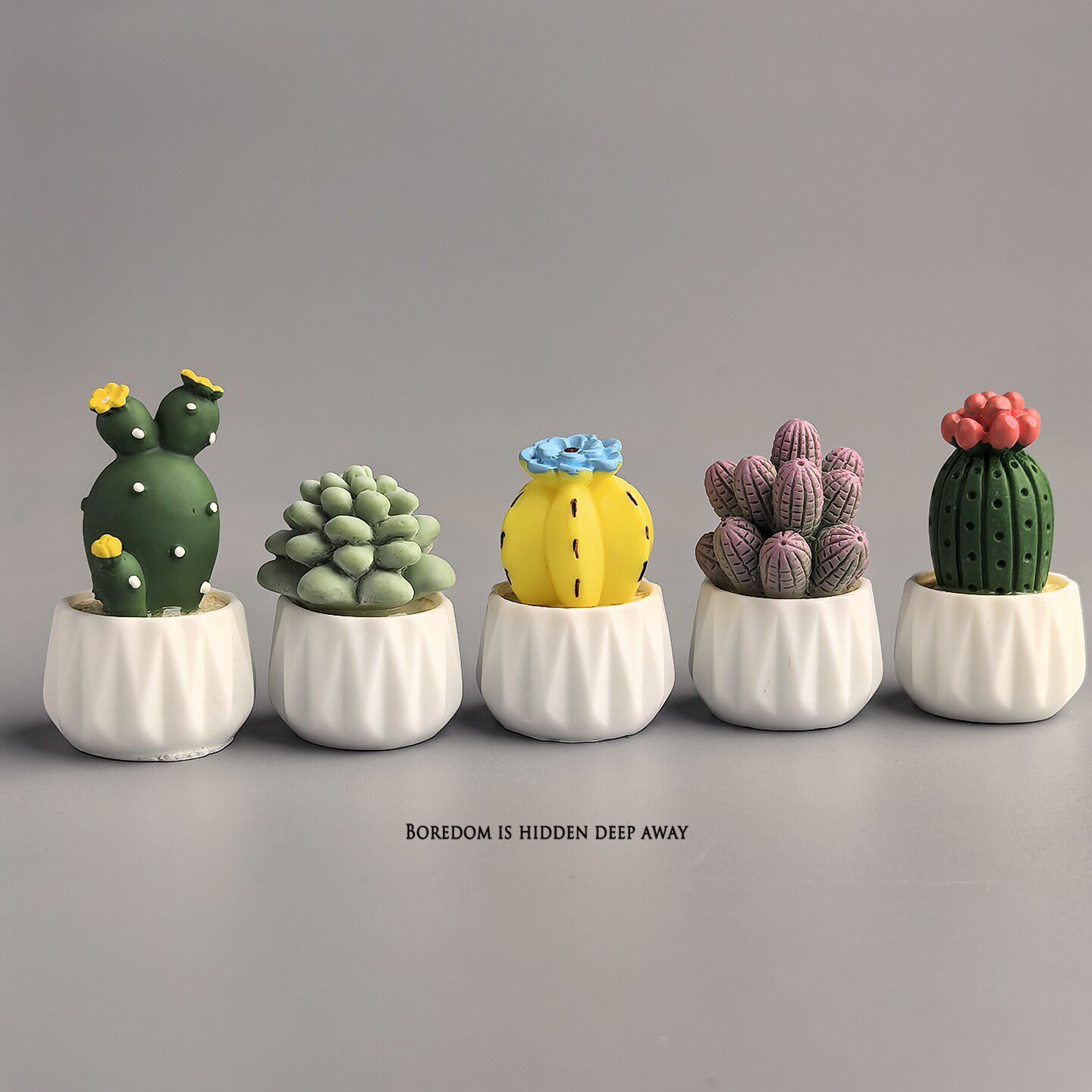Topfkaktus Sukkulente Mini-Arb – Succulent Set Bewertung und Preis