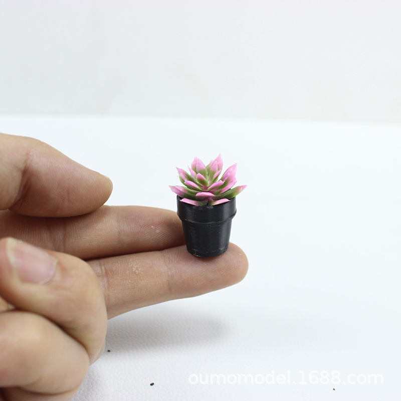 Mini-Simulationspflanzen, Kakt – Succulent Set Bewertung und Preis