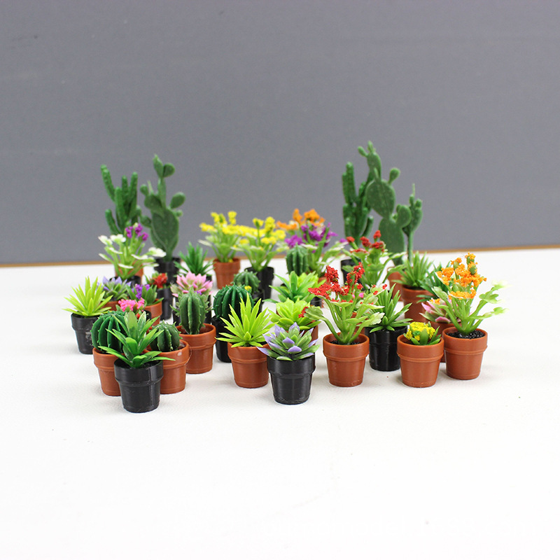 Mini-Simulationspflanzen, Kakt – Succulent Set Bewertung und Preis