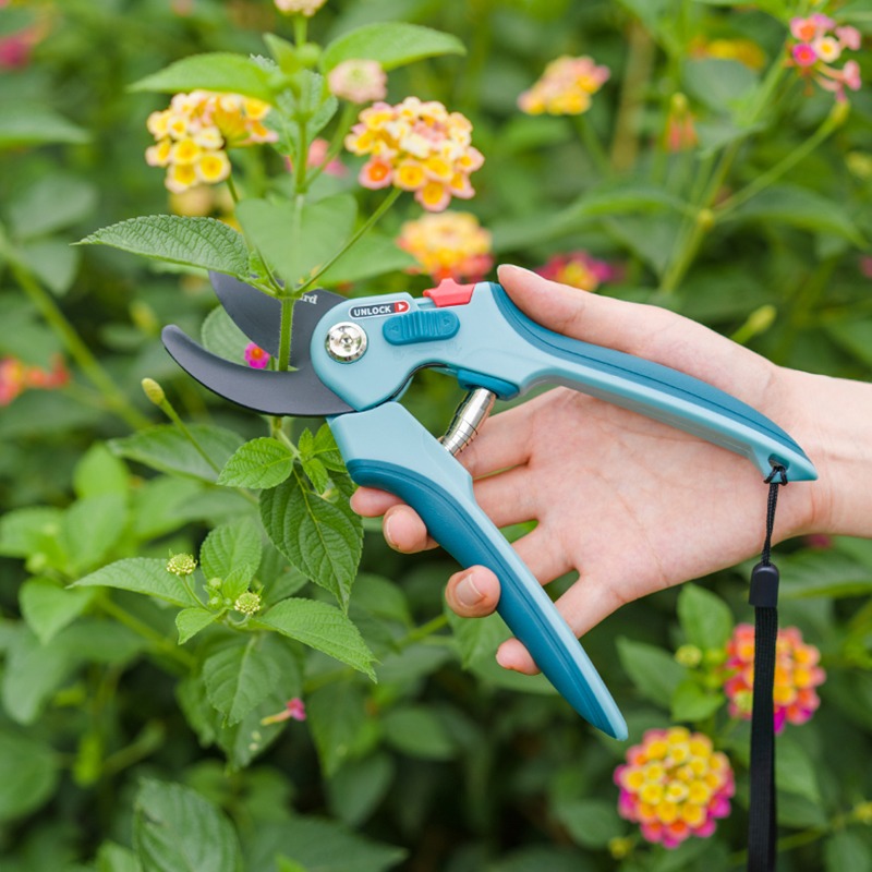 Hochkarbon-Stahl-Gartenschere  – Plant Pot Bewertung und Preis
