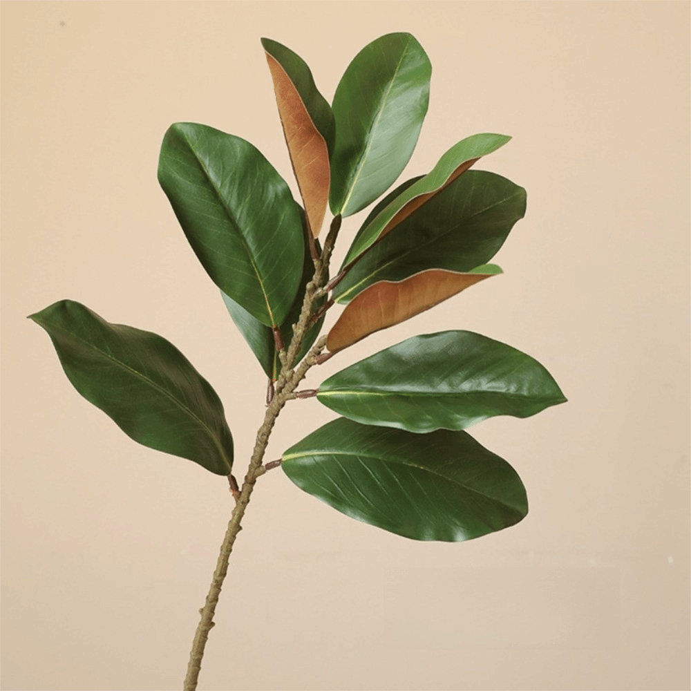 57 cm künstliche Magnolienblät – Snake Plant Bewertung und Preis
