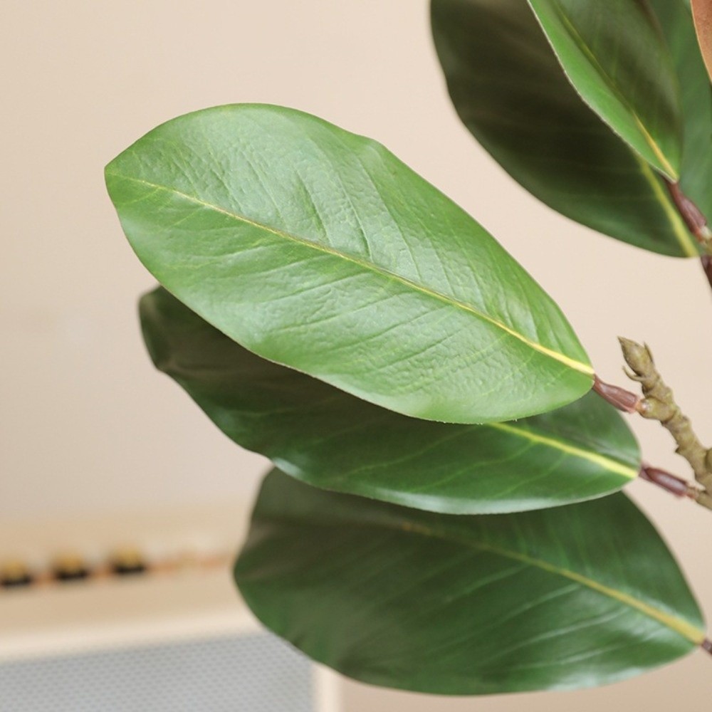 57 cm künstliche Magnolienblät – Snake Plant Bewertung und Preis