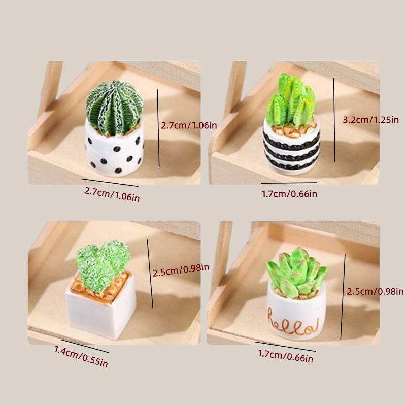 4-teiliges Set aus Kaktus-Sukk – Succulent Set Bewertung und Preis