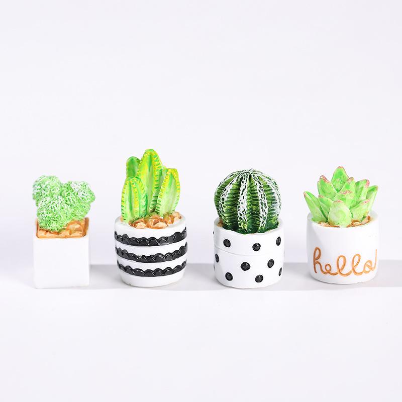 4-teiliges Set aus Kaktus-Sukk – Succulent Set Bewertung und Preis