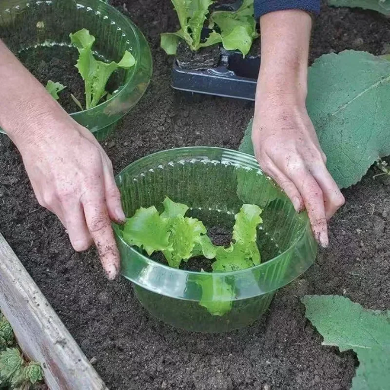 Pflanzen Slug Schutz Ringe Gem – Terracotta Pot Bewertung und Preis