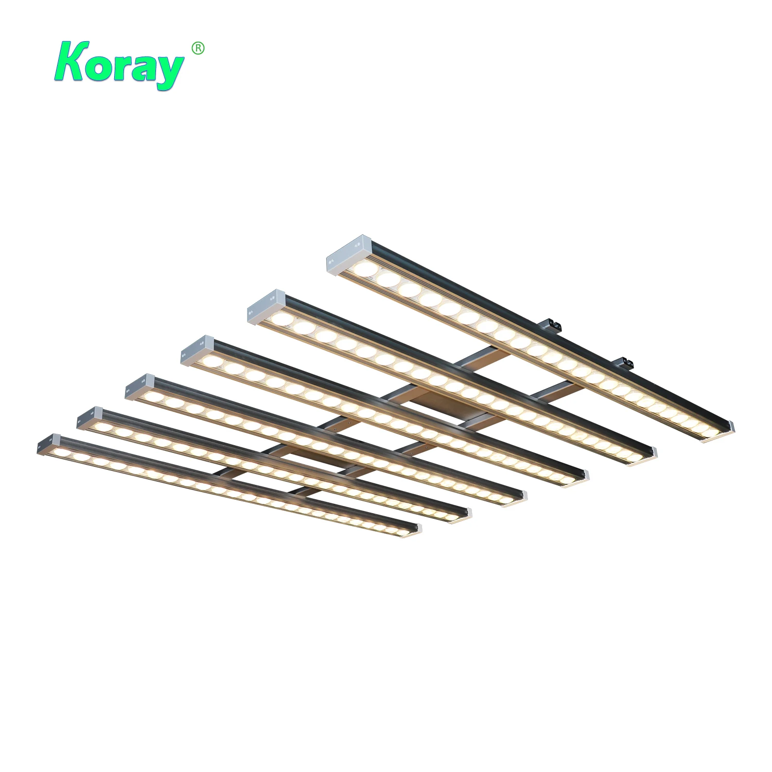 Koray 900W Indoor Vollspektrum – Indoor Plants Bewertung und Preis