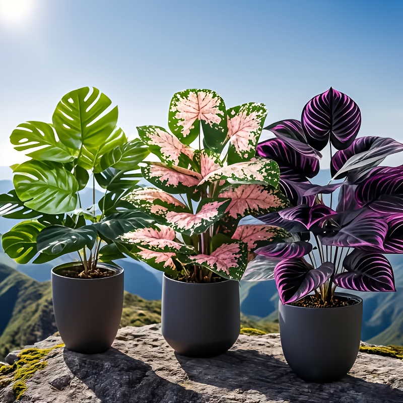 3-teiliges Set Künstliche Pfla – Fiddle Leaf Fig Bewertung und Preis