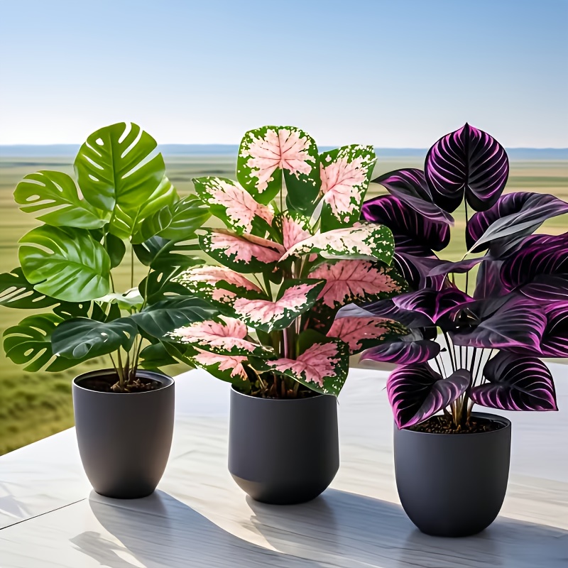 3-teiliges Set Künstliche Pfla – Fiddle Leaf Fig Bewertung und Preis